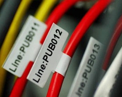 bb体育平台:2025中国特色农产品行业发展现状与未来展望