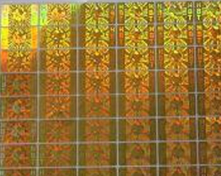 bb体育平台：ROADEXPO